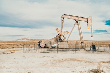 Bulk Oil (174/84)