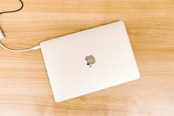 Paris Court of Appeals substantially reduces record fine imposed by French Competition Authority on Apple and its wholesalers