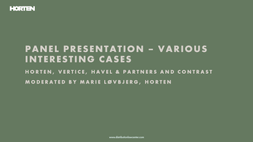 PowerPoint Distribution Law Center Meet-up 2025 - Panel presentation - Various interesting cases