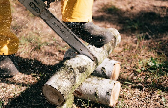 STIHL (VI-Kart 4/22)