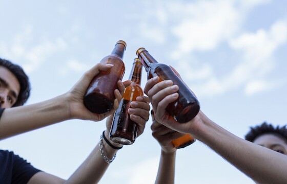 Carlsberg (Dnr 706/2019) and Spendrups (Dnr 248/2020)
