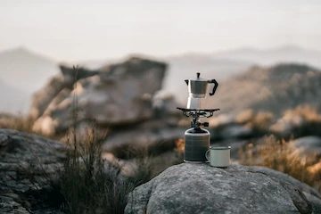 Dimka (730/2021)